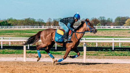 Self-Directed IRAs: What To Know Before Opening A SDIRA