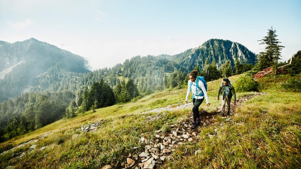 Bank of America Premium Rewards Credit Card Vs. Chase Sapphire Preferred